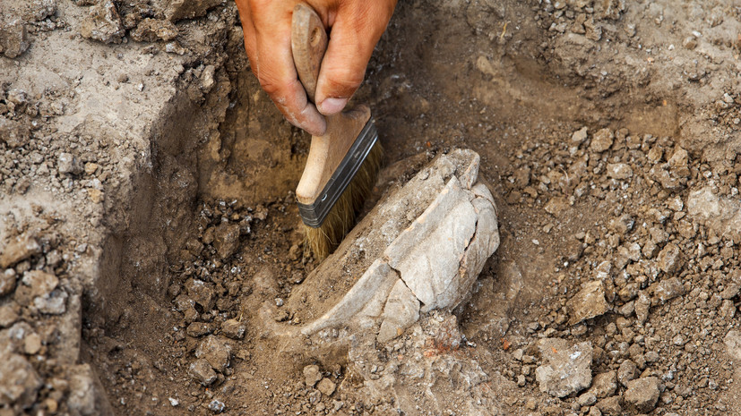 Челябинские археологи начали раскопки памятника каменного века