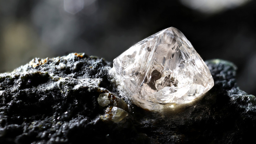 Рабочий из Индии нашёл гигантский алмаз стоимостью почти $100 тысяч