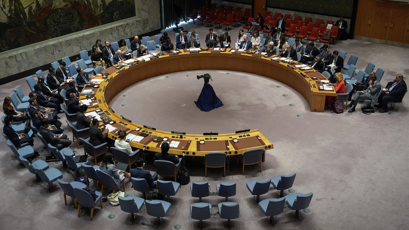 СБ ООН проведёт экстренное заседание в связи с убийством Хании 31 июля