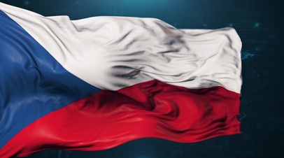 Сотрудник посольства Чехии пытался провезти в Россию 12 упаковок нейролептика