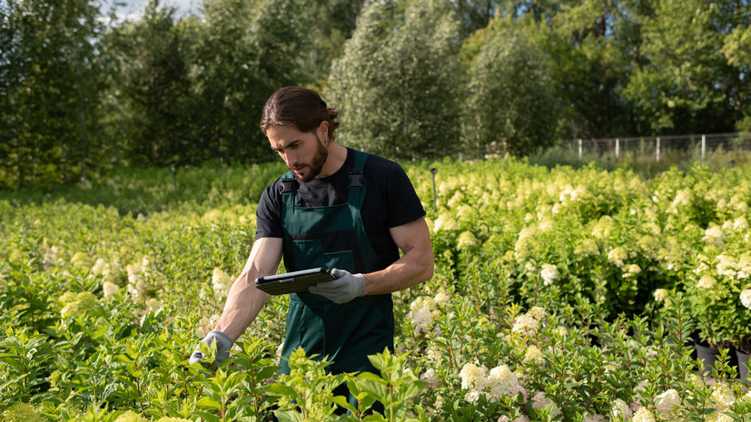 Пятая часть российских компаний нанимает сезонных сотрудников летом