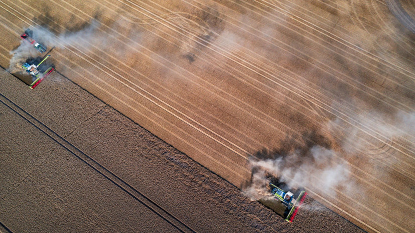 В Удмуртии начался сбор урожая зерновых культур