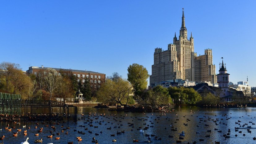 В Московском зоопарке родился детёныш кустарниковой собаки