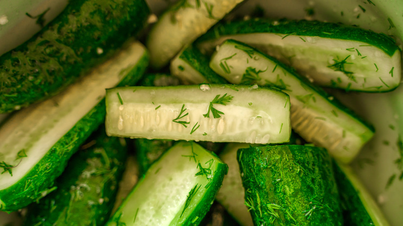 Врач Кашух: малосольные огурцы полезны для пищеварения