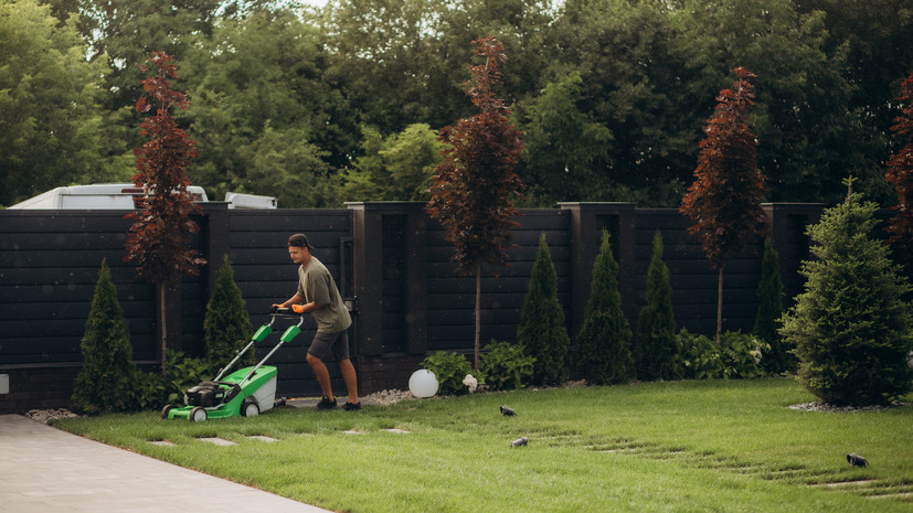 Юрист посоветовал убирать территорию земельного участка от мусора, травы и снега