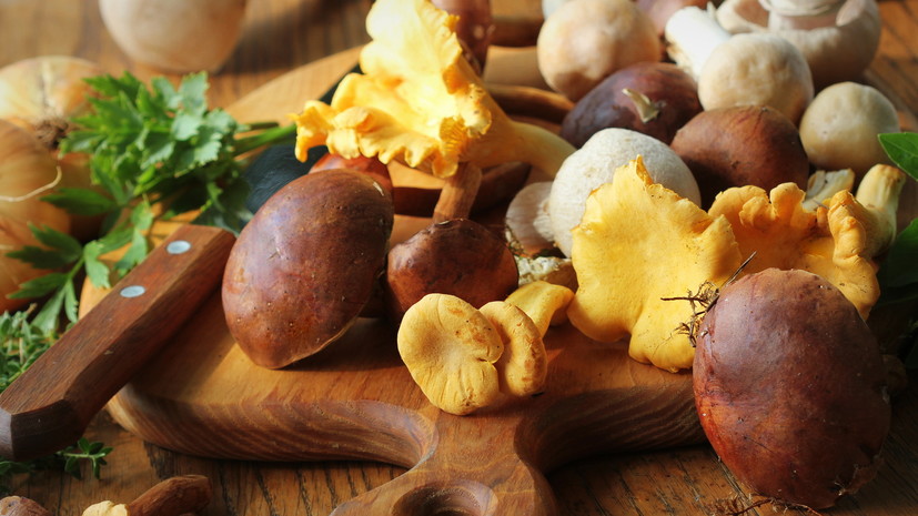 Диетолог Габдулхакова: непереносимость грибов имеет генетическую природу