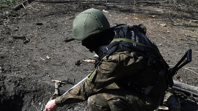 В Запорожской области нашли останки восьми жертв нацистов времён ВОВ