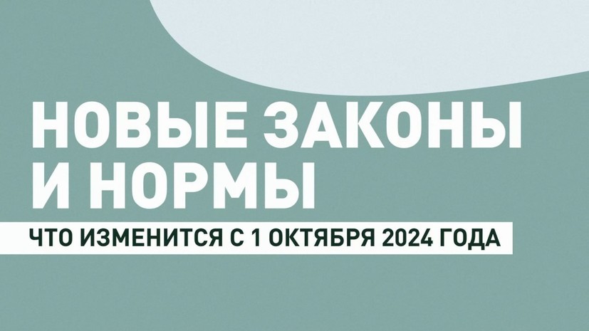 Увеличение пенсий и новые правила ОСАГО: что изменится в октябре 2024 года