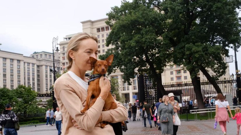 Москвичи смогут проголосовать за лучшие площадки фестиваля «Лето в Москве»