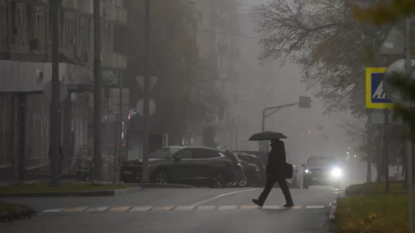 Синоптик Позднякова спрогнозировала начало затяжного дождя в Москве вечером