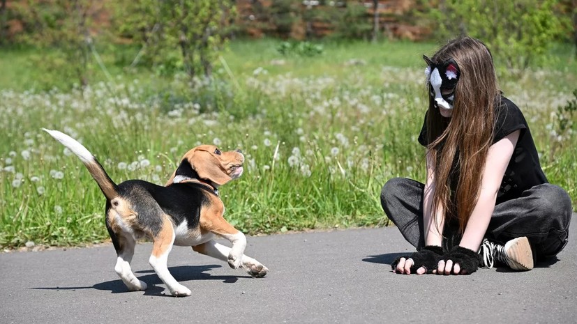 Депутат Буцкая: в школах нужно проводить профилактические беседы о вреде квадробинга