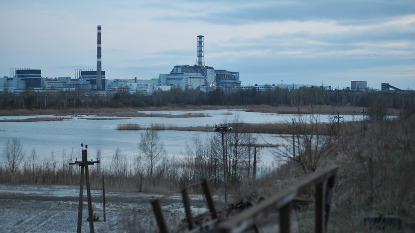 Чернобыльские лягушки научились противостоять радиации