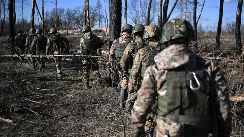 ВС России освободили Вознесенку в ДНР