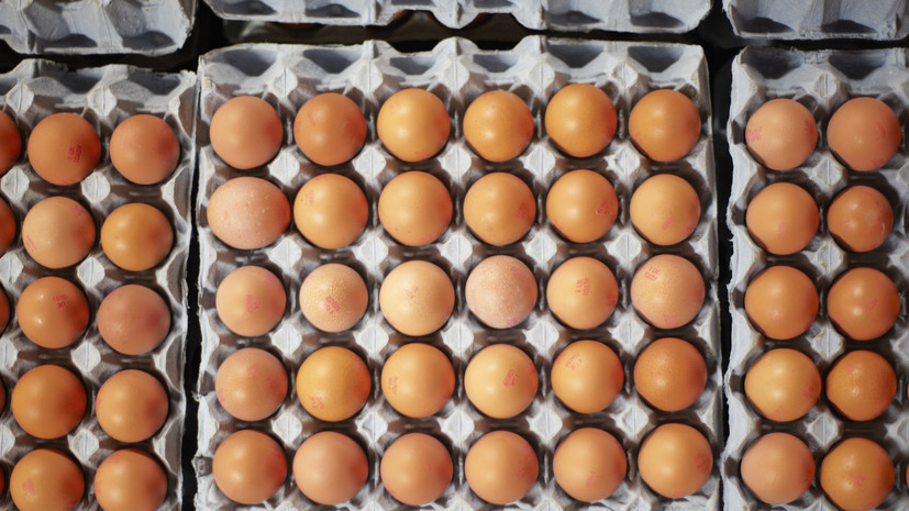 Депутат Рады запустил в продажу «Президентские» яйца