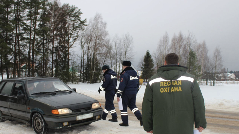 В Тверской области приняли меры по защите хвойных лесов от браконьеров