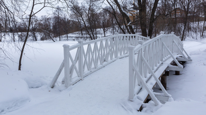 В Пензенской области рассказали о памятниках природы в регионе