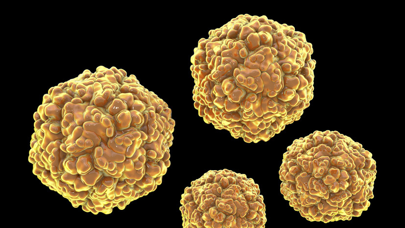 Врач Осипов: норовирус давно известен и легко поддаётся лечению