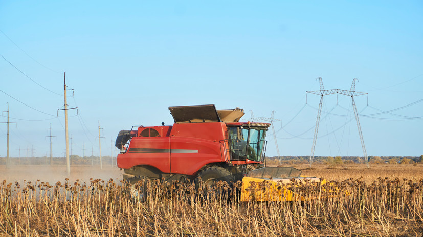 В Калининградской области инвестируют 35 млрд рублей в АПК в 2025 году