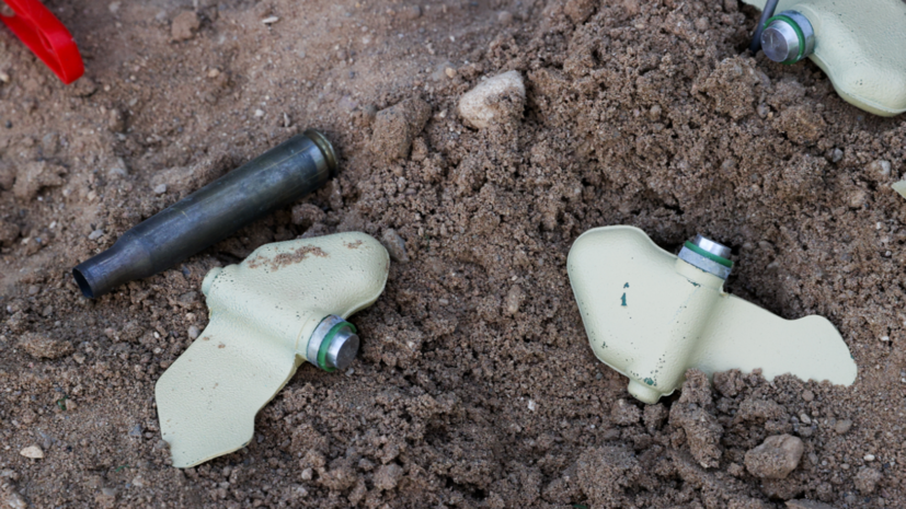 Марочко: не менее 50% территории ЛНР нужно обследовать на предмет мин