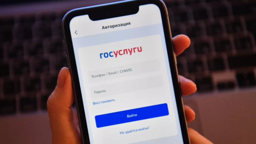 Киберэксперт Вехов рассказал, как избежать взлома на «Госуслугах»