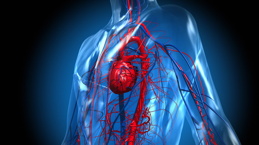 Врач Корольков рассказал, как образ жизни влияет на здоровье вен