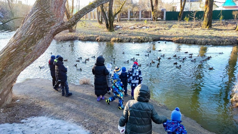 В Москве подвели итоги акции «Серая шейка»