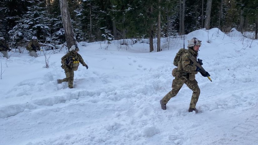 Эстонские военные получили обморожения на учениях из-за отсутствия снаряжения