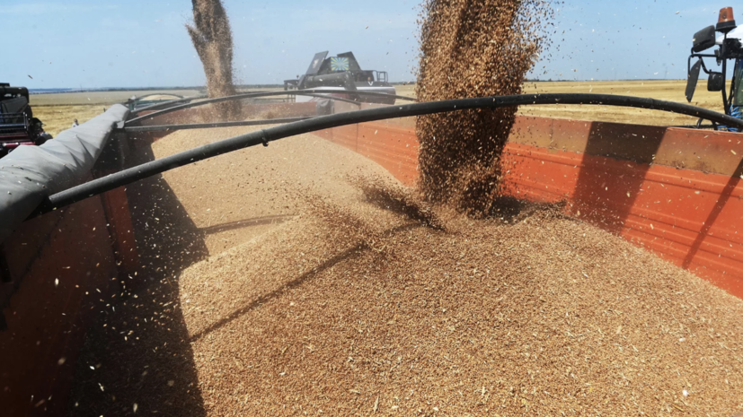 Экономист Холод прокомментировал развитие АПК в Татарстане в 2024 году