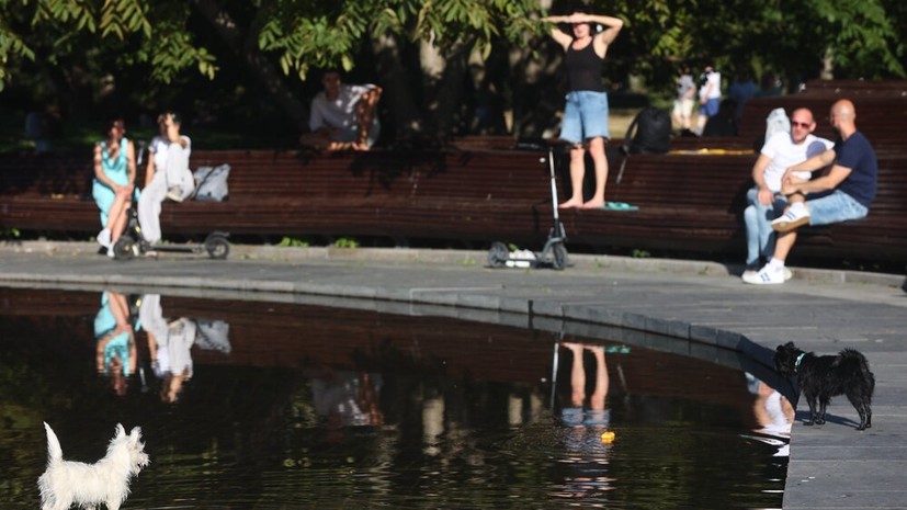 В «Мособлпожспасе» призвали следить за питомцами во время отдыха у воды