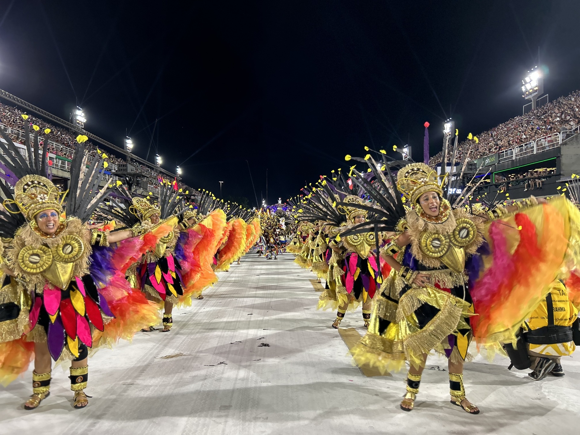 Qindagi jinsiy olatni sxemasi