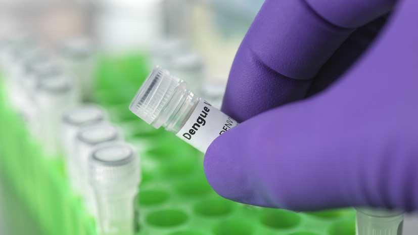 Инфекционист Викулов рассказал об особенностях лихорадки денге