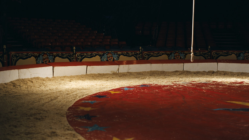 Эксперты назвали важным решением голосование по образу нового Московского цирка на «Активном гражданине»