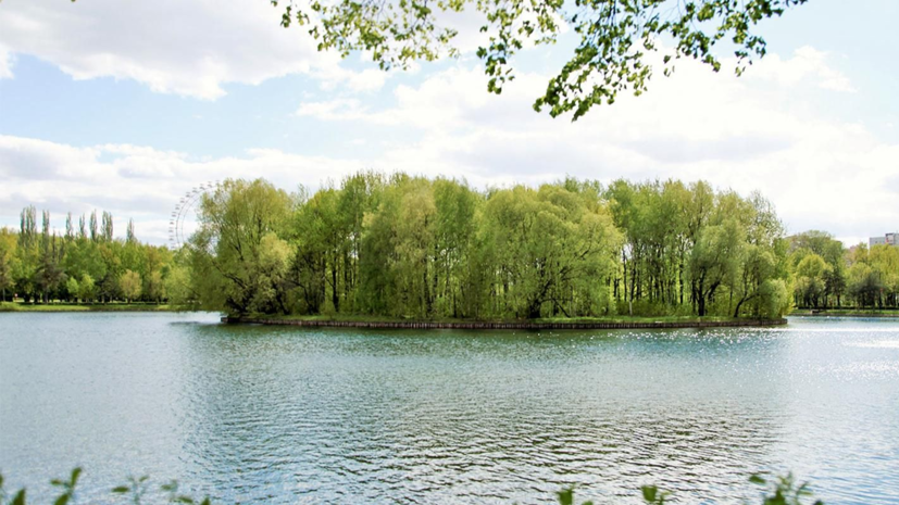 В московских парках изучают флору и фауну