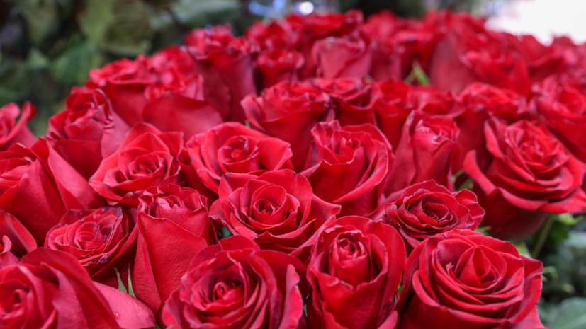 Москву украсили праздничными плакатами к Международному женскому дню