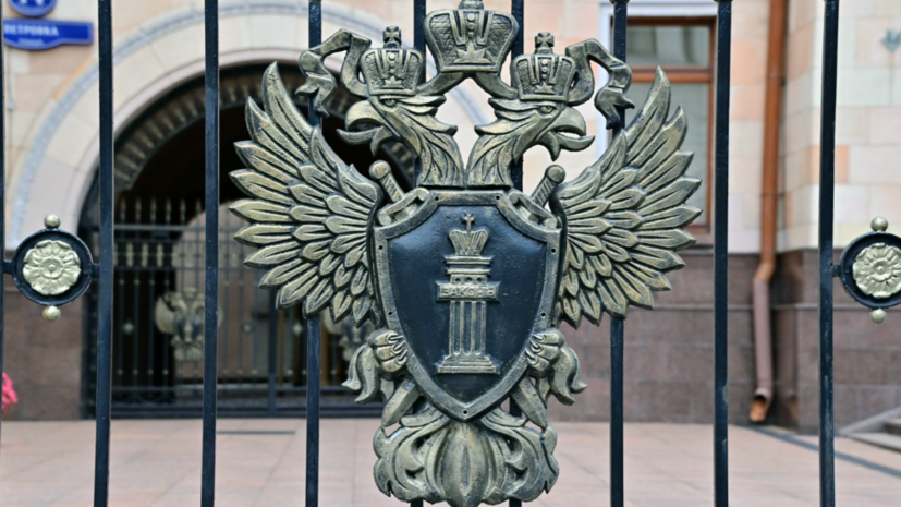 Блогера Митрошину заподозрили в уклонении от налогов на 127 млн рублей