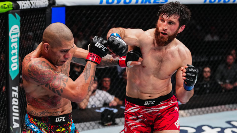 Шаблий: Перейра выполнил задачу на бой с Анкалаевым, но проиграл