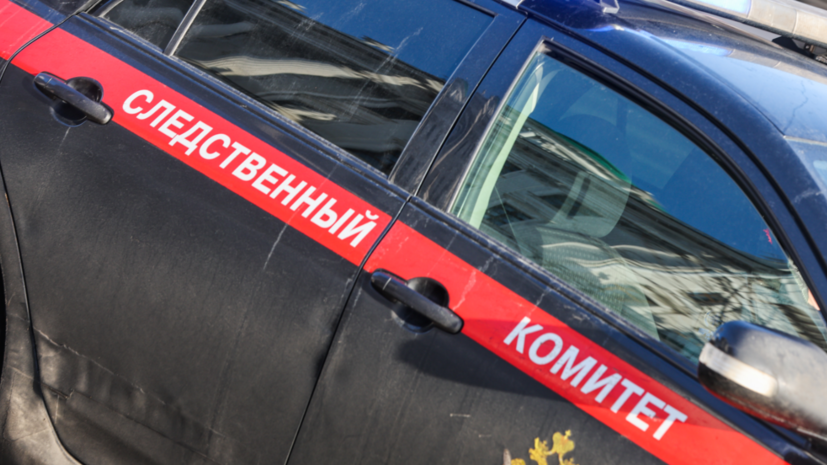 В Томской области усыпили таксу, до смерти искусавшую новорождённого ребёнка