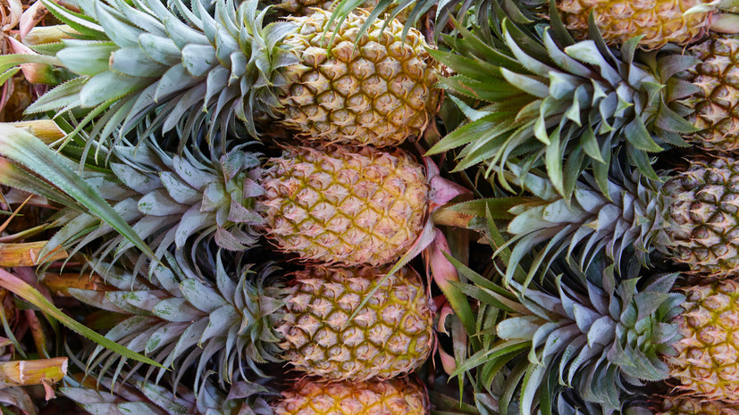 Диетолог Соломатина: ананасы противопоказаны при ряде заболеваний