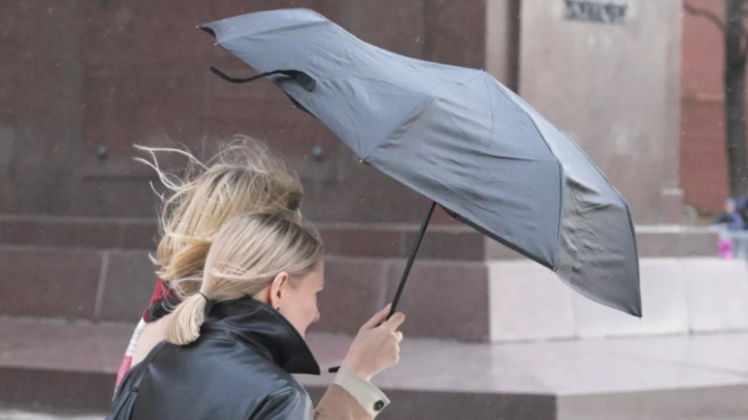 В МЧС предупредили о сильном порывистом ветре в Москве в пятницу