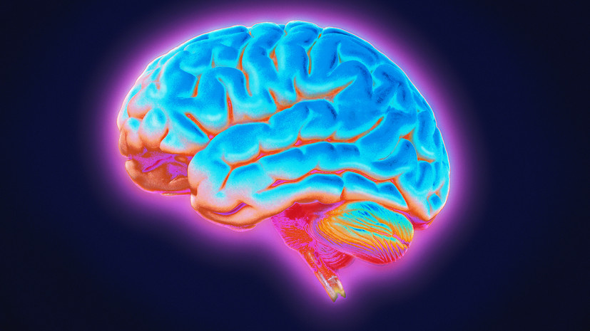 Врач Демьяновская рассказала, как поддержать работу мозга в пожилом возрасте