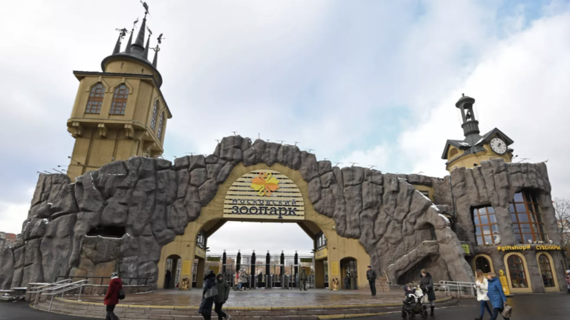 В Московском зоопарке проводится расследование после смертельного укуса змеи