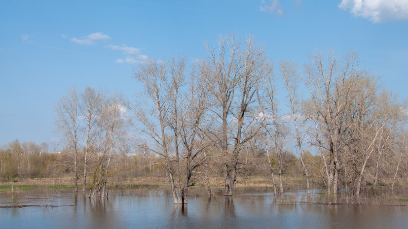 Уровень воды в реках Курганской области идёт на спад