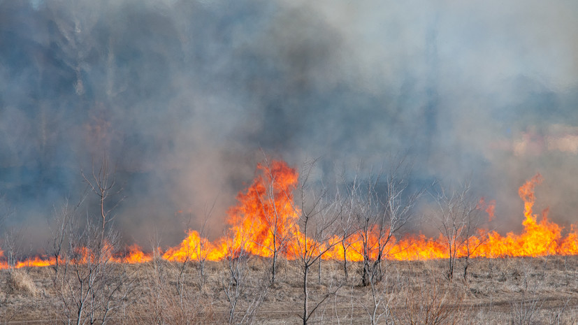 На Кубани ввели запрет на посещение лесов для предотвращения пожаров