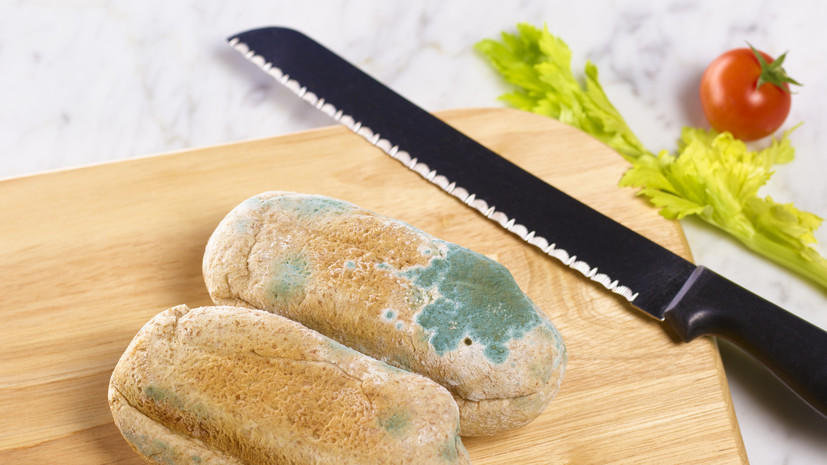 Специалист Кузнецова: обычная плесень на продуктах опасна для здоровья