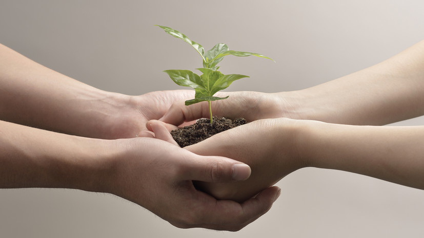 В Нижнем Новгороде рассказали о программе экологической конференции
