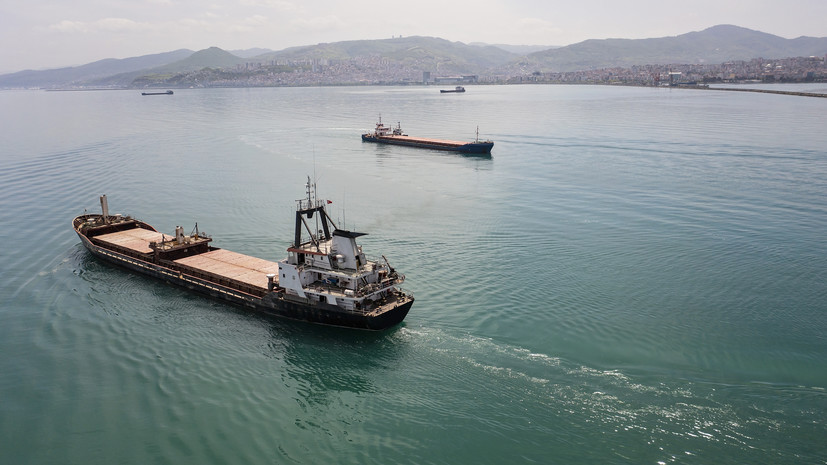 РИА Новости: в Анкаре началась встреча по Чёрному морю