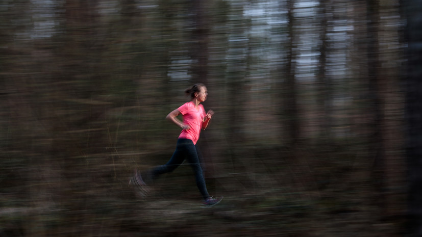 Забеги «Быстрый пёс» и «Лисья гора» пройдут в Москве 19—20 апреля
