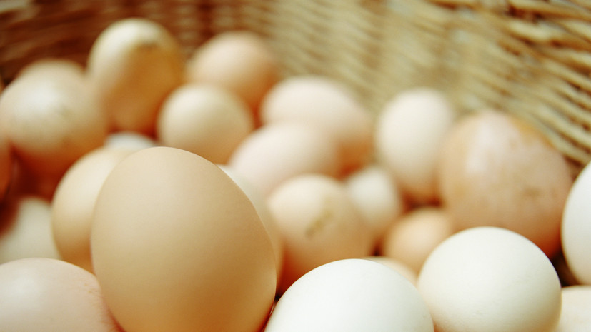 Врач Осипов: не стоит есть больше трёх яиц в день