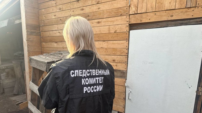 Убившей троих детей матери из Канска проведут экспертизу в СИЗО