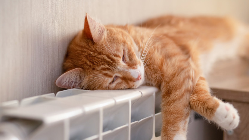 Более чем в 600 московских домах заменят системы отопления в 2025 году